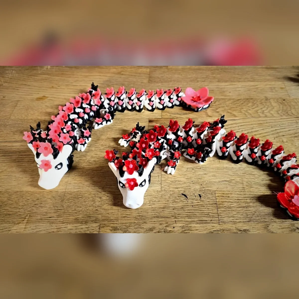 Cherry Blossom Dragon